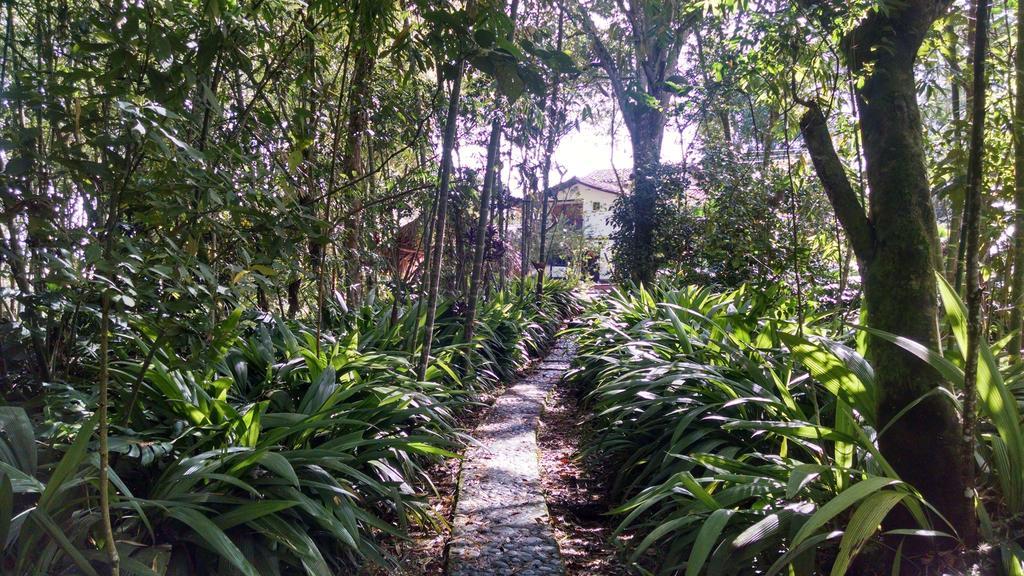 Hotel Casa De Nelly San Agustín 外观 照片