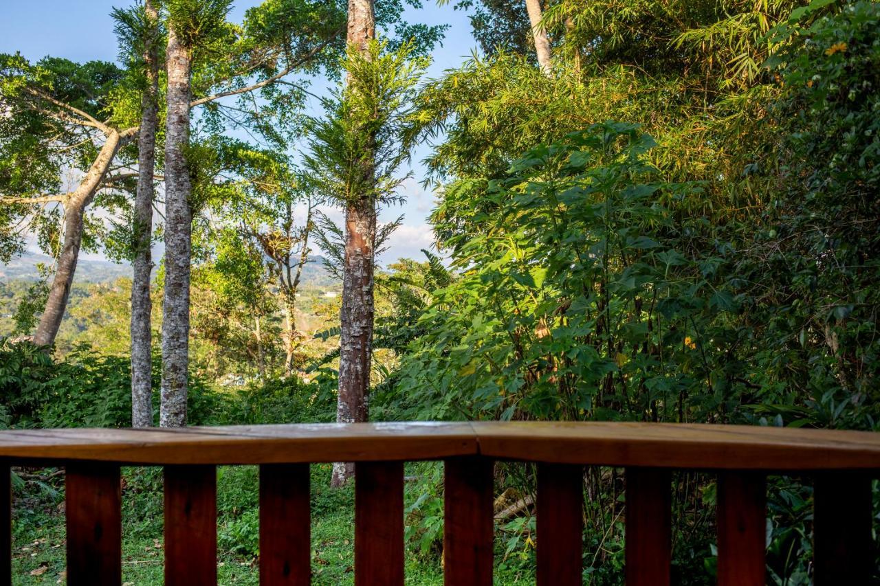 Hotel Casa De Nelly San Agustín 外观 照片